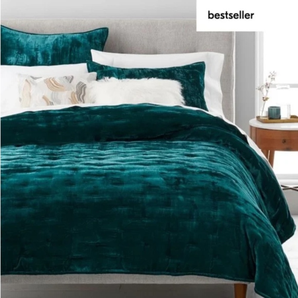 West Elm Velvet Quilt and Shams Botanical Garden
